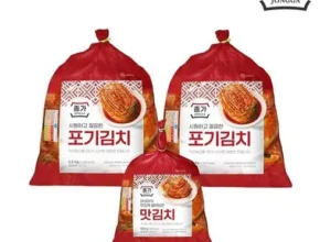 SNS에서 핫한 종가 종가집 중부식 포기김치 11kg 파김치 300g 베스트상품 8
